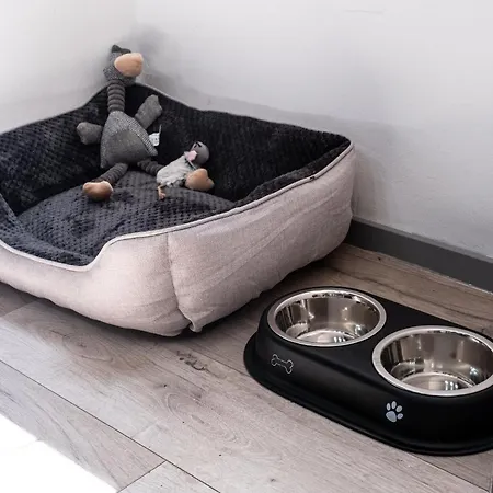 Il Camino Apartman *