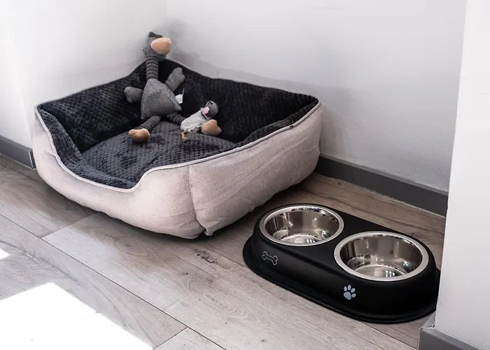 Il Camino Apartment *